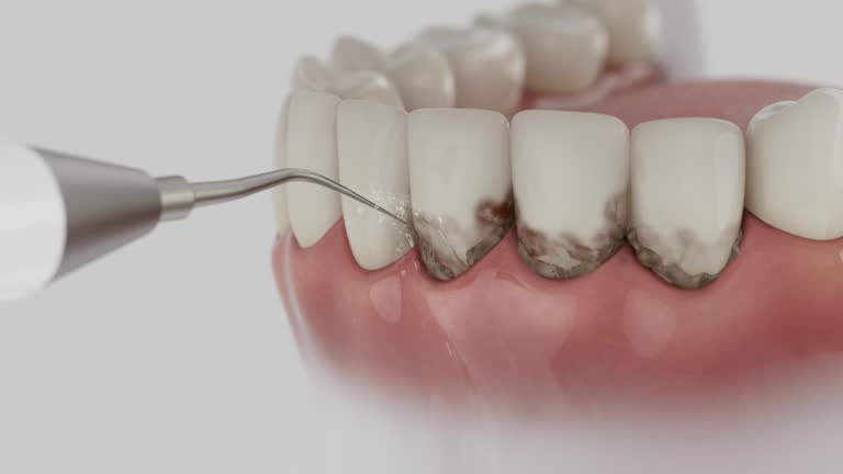 Reliable Dental contractor in Manchester, TN by Dentist Open Now